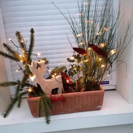 Des Pierres Opalines * Xonrupt-Longemer