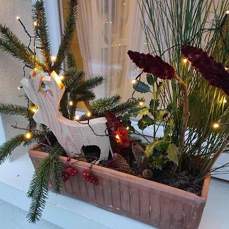 Des Pierres Opalines *