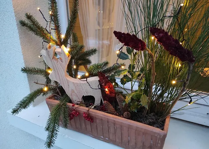 Des Pierres Opalines *